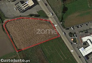 Terreno Com 3.500 M2 Situado Junto À Estrada...