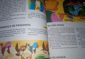 imagem_5