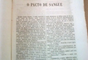 imagem_2