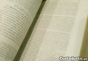 imagem_4
