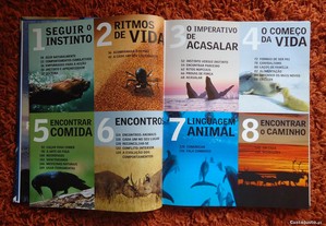 imagem_7