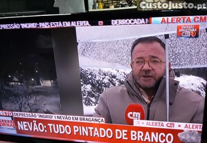 imagem_7