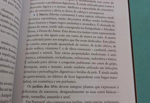 imagem_4
