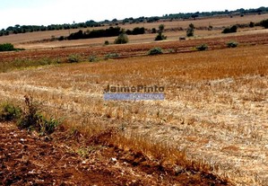 30ha terra agrícola com água. Portugal, Figueira de Castelo Rodrigo.