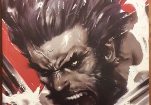 Livro - Wolverine: Soultaker