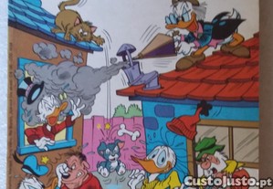 imagem_6