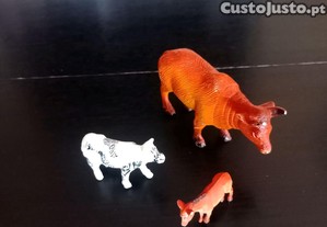 imagem_5