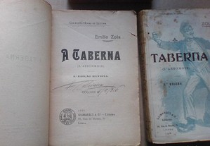 imagem_7