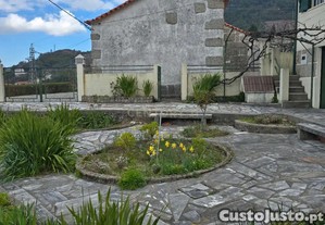 imagem_8