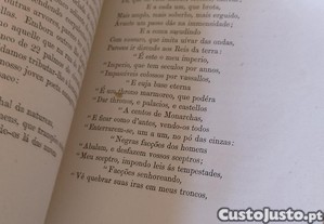 imagem_8
