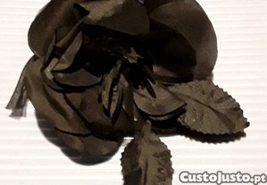 imagem_8