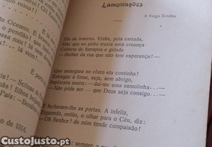 imagem_7