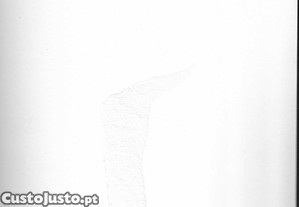 imagem_8