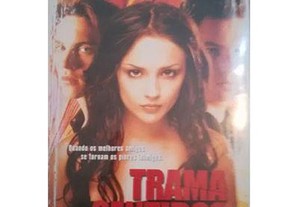 imagem_3