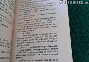 imagem_8