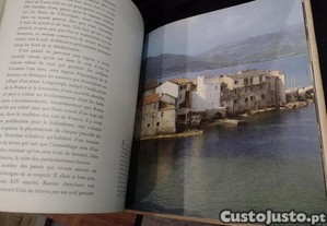 imagem_3