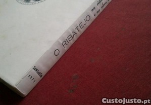 imagem_7