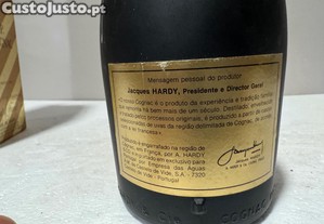 imagem_7