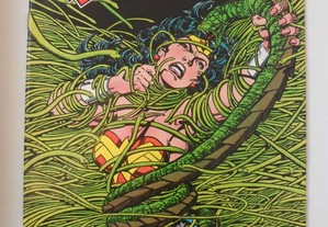 Wonder Woman 5 George Pérez DC Comics 1987 banda desenhada BD