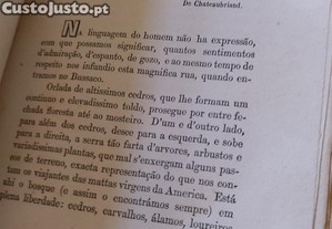 imagem_9