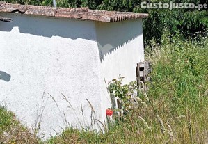imagem_29
