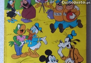 imagem_7