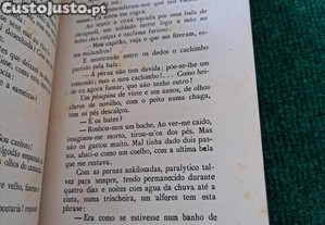 imagem_7