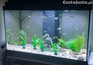 Aqurio completo 60 litros