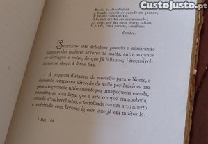imagem_6