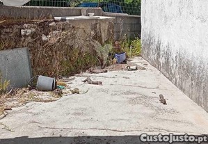 imagem_11