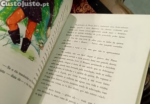 imagem_7