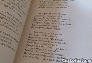 imagem_10