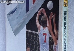 imagem_8
