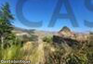 imagem_16