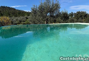 imagem_11