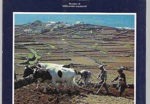 E. V. de Oliveira e B. Pereira; des. de F. Galhano, "Tecnologia Tradicional Agrícola dos Açores".
