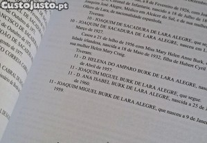 imagem_7