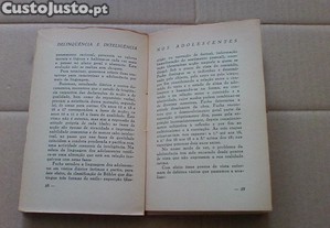 imagem_5
