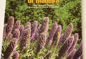 Flores da Madeira, Flowers of Madeira
