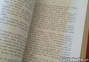 imagem_7