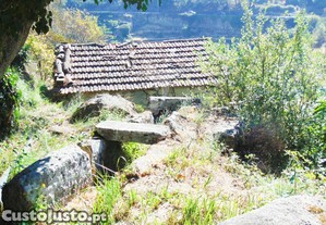 imagem_29