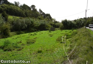 imagem_7
