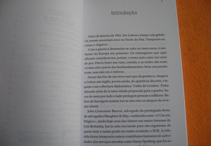 imagem_5