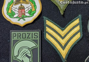 imagem_2