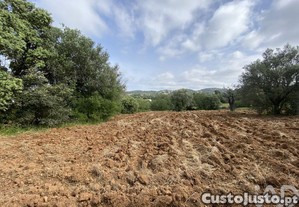 Terreno Agrícola em Santa Bárbara de Nexe