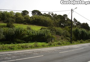 imagem_13