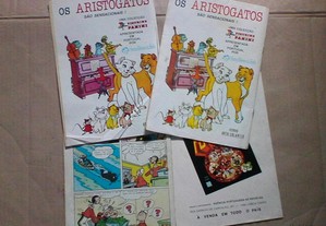 imagem_4