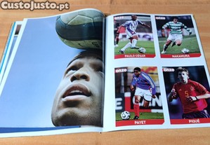 imagem_6