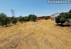 Terreno com 3.695 m2 em Alcoentre, com viabilidade de construção até 923 m2