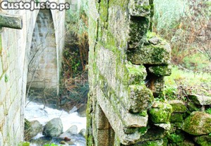 imagem_37